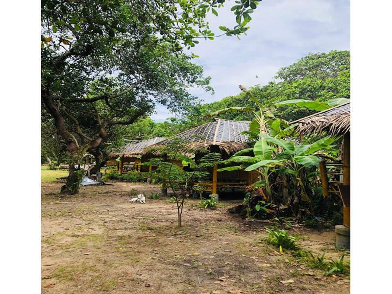 Chalee Tropicana Bungalow Koh Phayam Zewnętrze zdjęcie