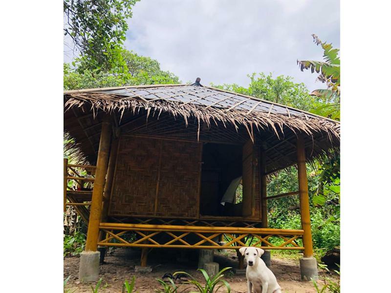 Chalee Tropicana Bungalow Koh Phayam Zewnętrze zdjęcie